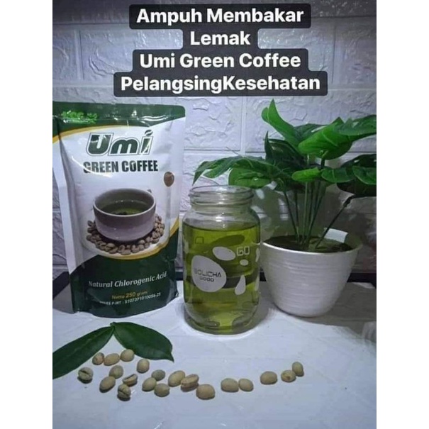 

UMI GREEN COFFE