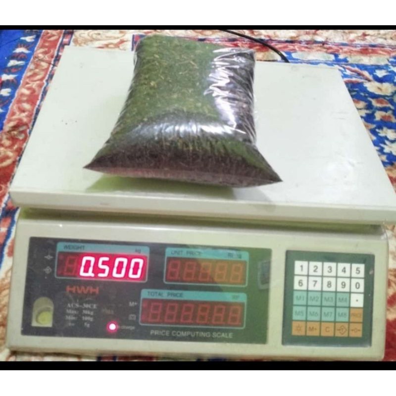 media tanam siap pakai kaktus sekulen