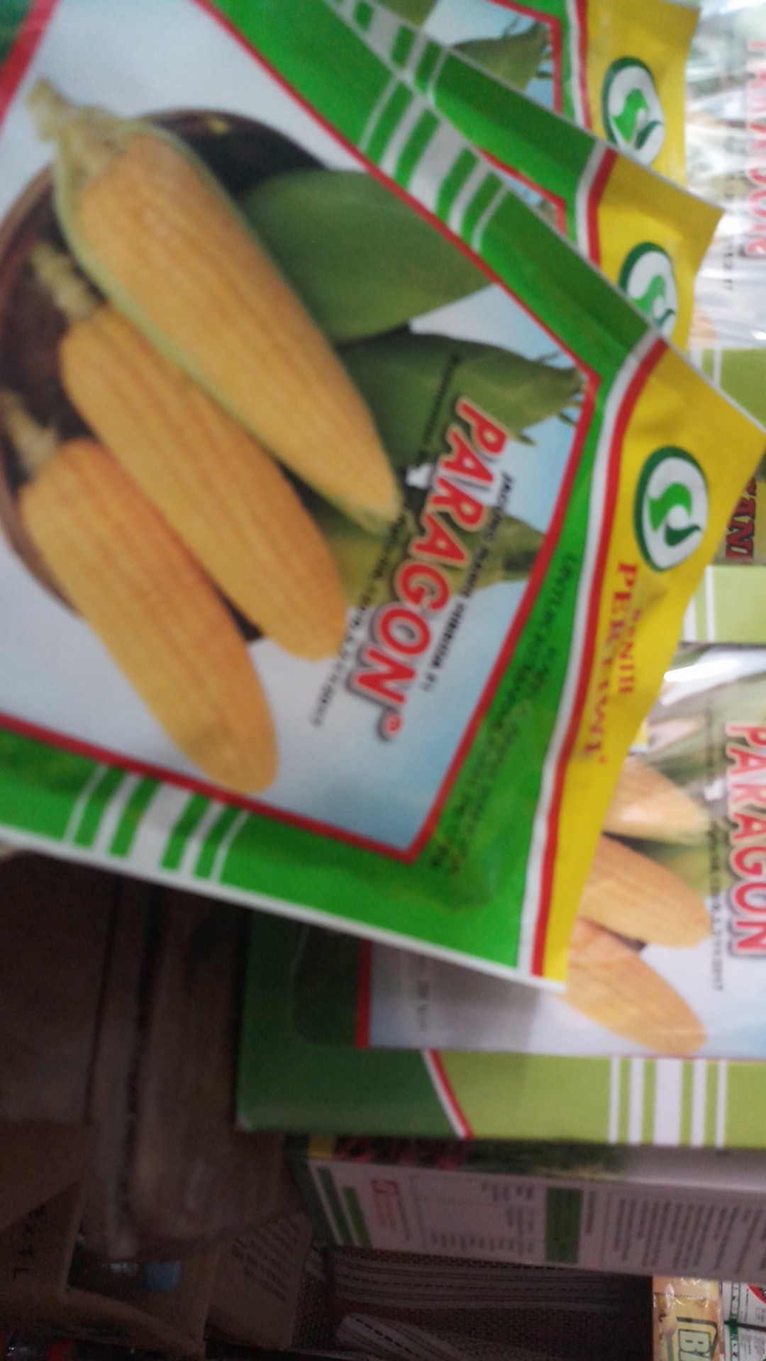 Benih Jagung Manis Hibrida F1 Paragon 200biji