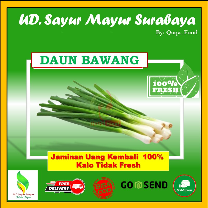 

DAUN BAWANG segar fresh sayur sayuran murah segar premium 250 Gram - UD069