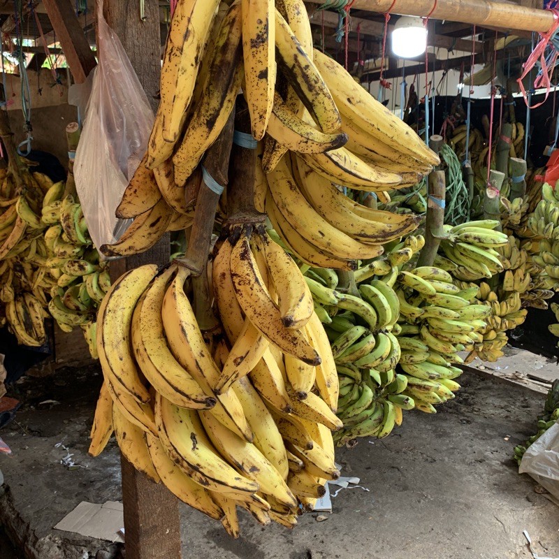 

pisang tanduk 3 buah