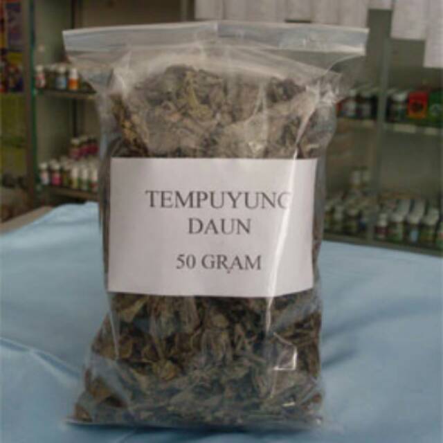 

Daun Tempuyung kering 50 gram