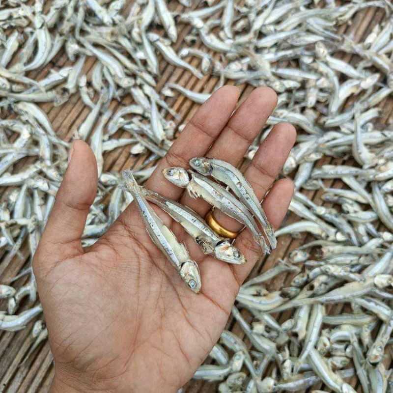 

teri kacang / jengki 500gr