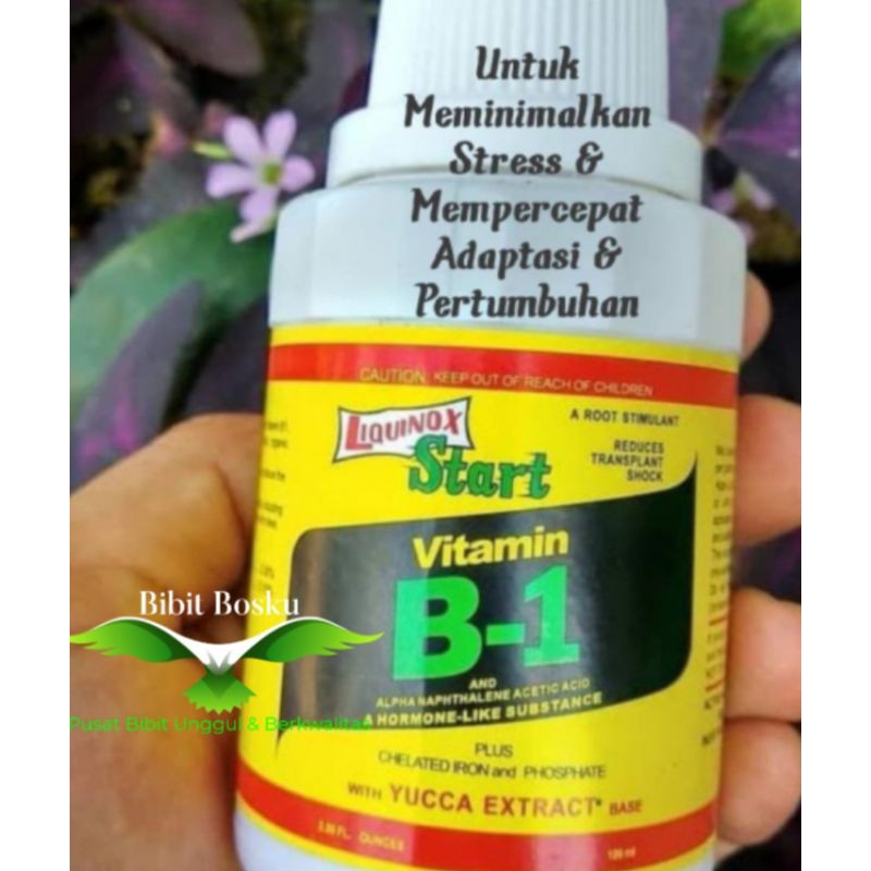 Vitamin B-1 Tanaman