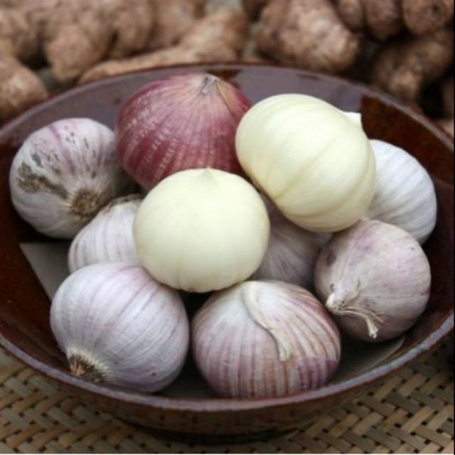 

Bawang putih tunggal