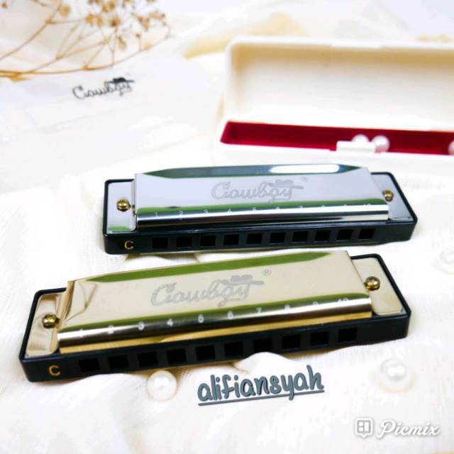 Harmonica 10 hole alat musik tiup harmonika merk cowboy