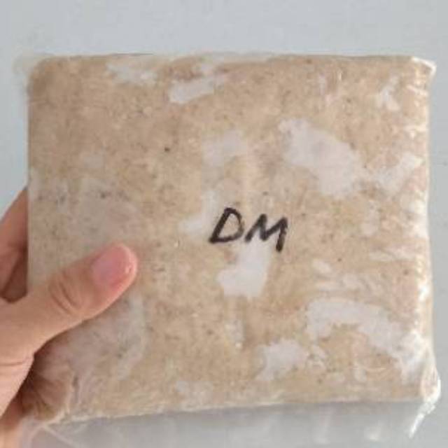 

Ay00! Daging Merah Ikan Tenggiri Segar Berkualitas