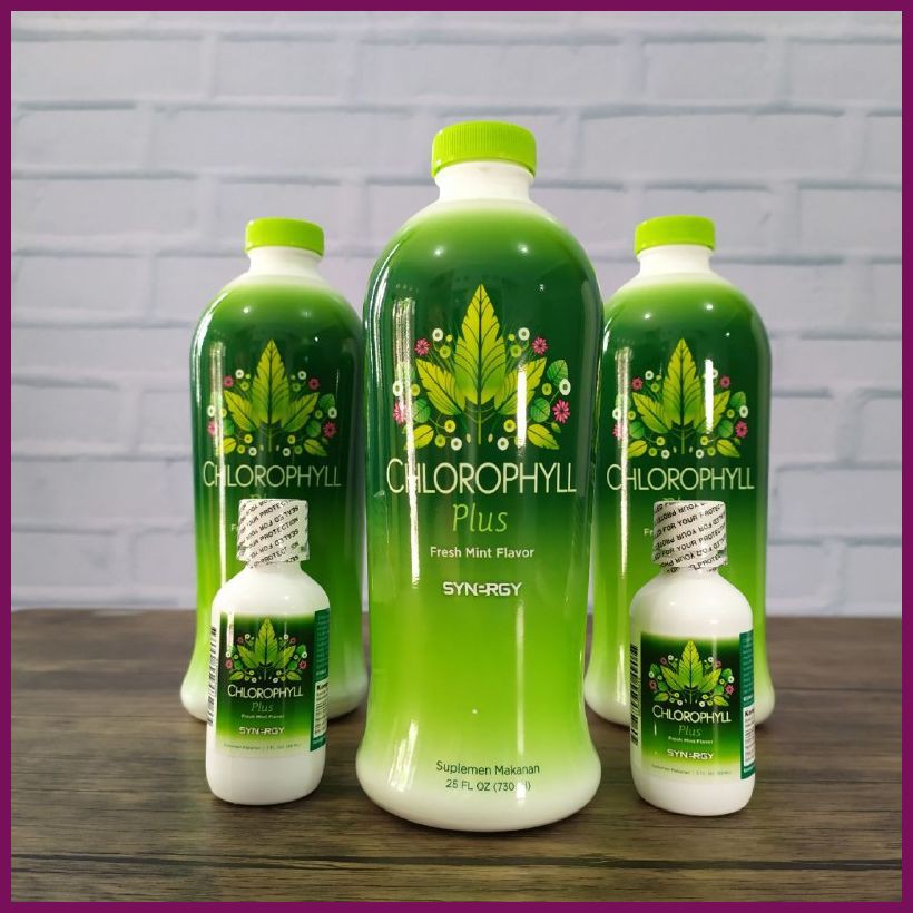 RAMUAN HERBAL MENJAGA KESEHATAN USUS Chlorophyll Plus Synergy