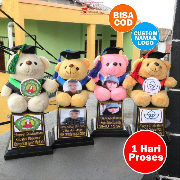Jual PROMO Piala Boneka Wisuda Teddy Bear Coklat Cream Gratis Plastik Kado Murah