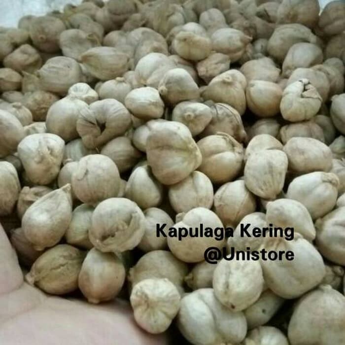 

Kapulaga / kapol /cardamon Kering 100gr