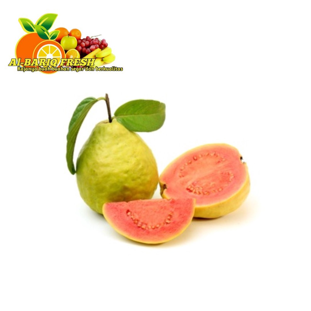 

Jambu Biji Merah Red Guava Al-Bariq Fresh