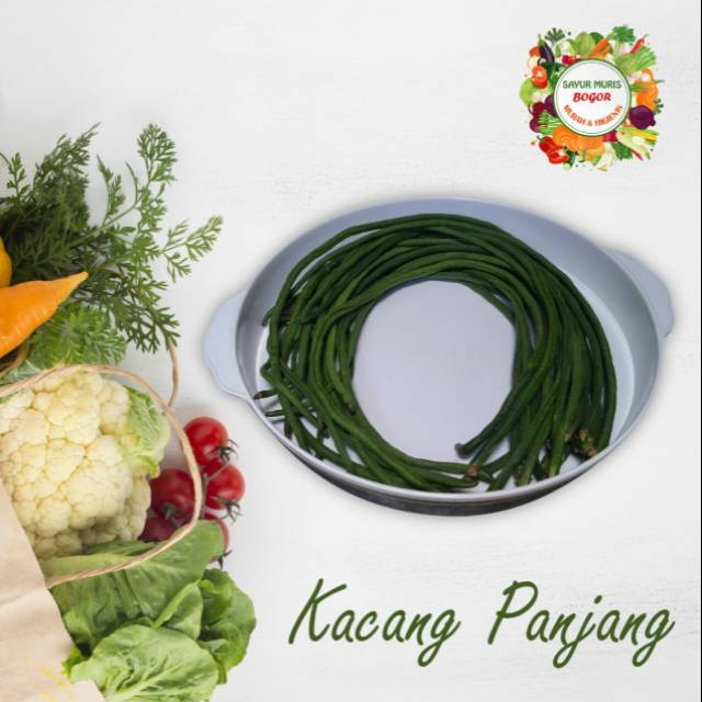 

KACANG PANJANG SEGAR 250 gr