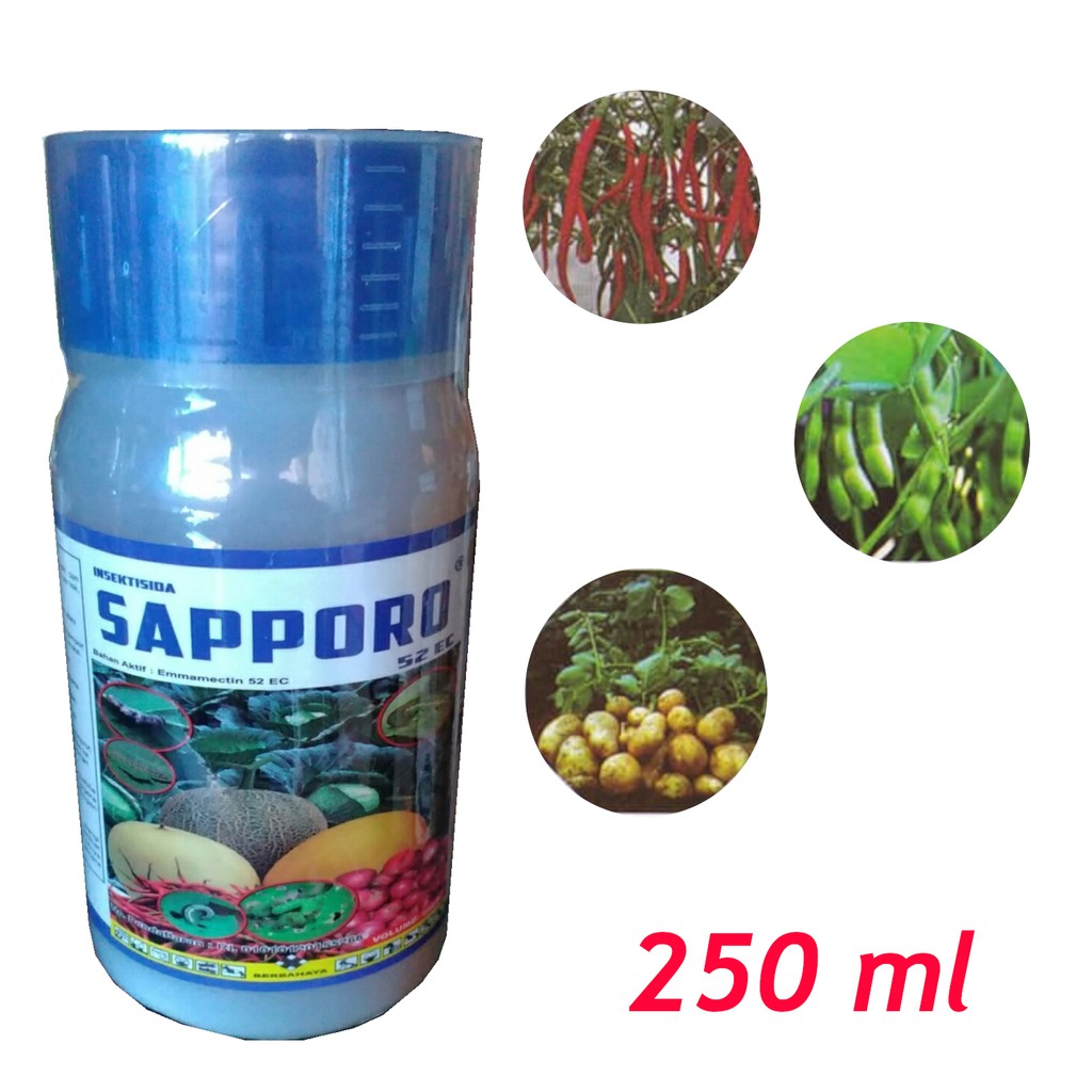 Sapporo 250 ml Insektisida Ulat Grayak Pada Jagung