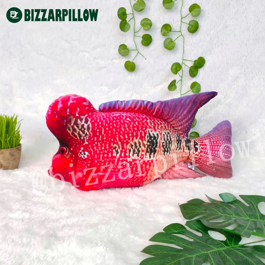 Bizzarpillow Bantal Ikan Louhan size M BZ080