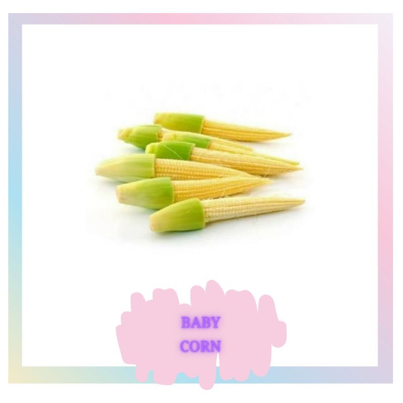 

BABY CORN / JANTEN SEGAR 200 GR