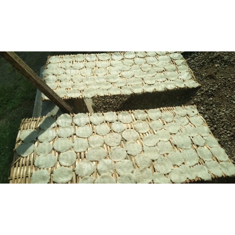 

Lempeng Puli