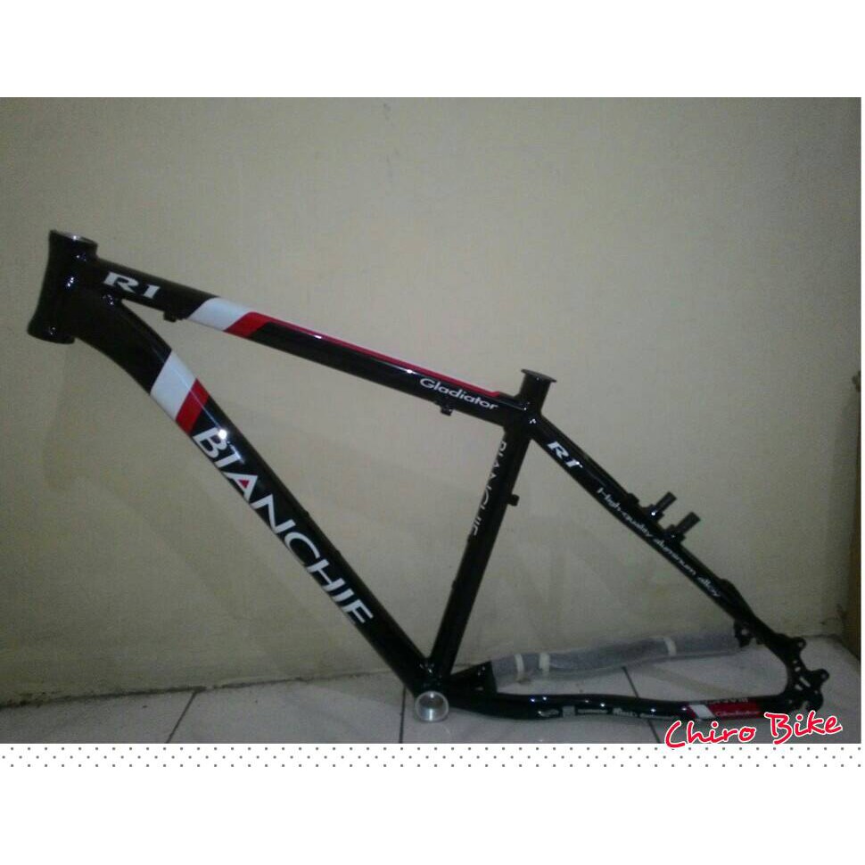 Frame mtb 26 bianchie