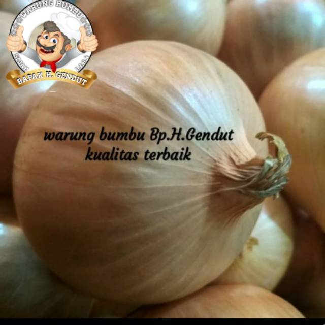 

bawang bombai