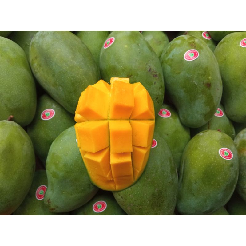 

Mangga Harum Manis 1 Kg