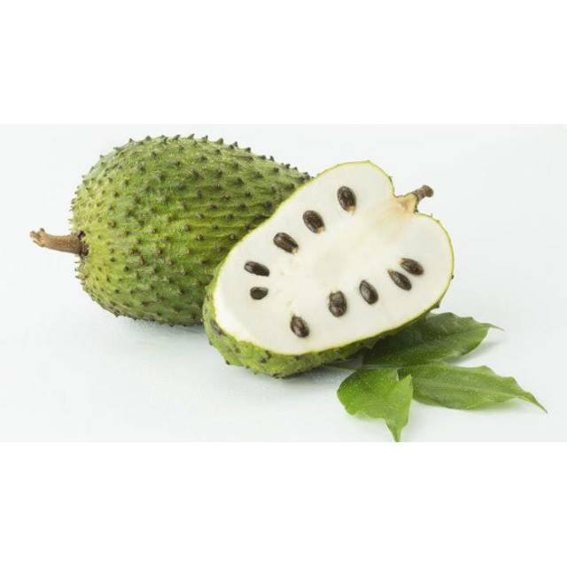 

BUAH SIRSAK / SOURSOP MENTAH per 1-1,2kg