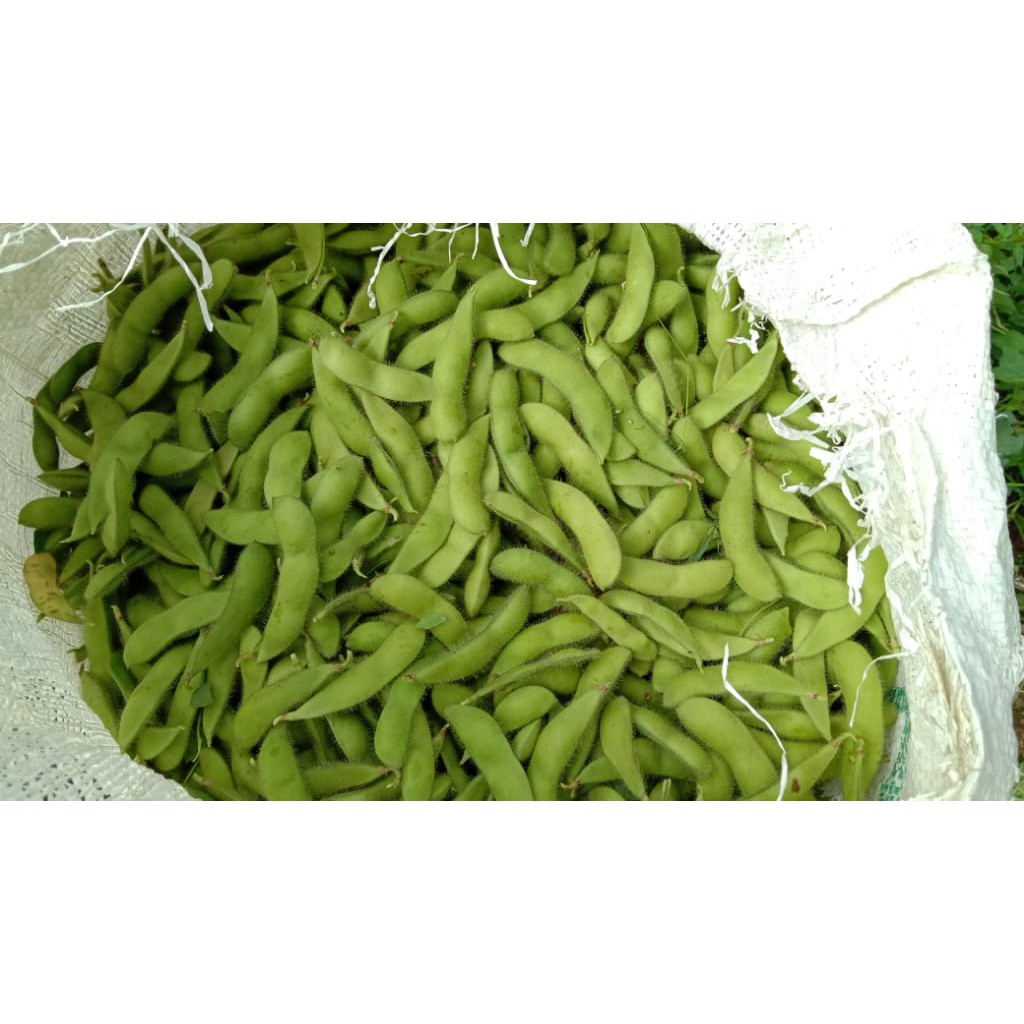 

Edamame Fresh