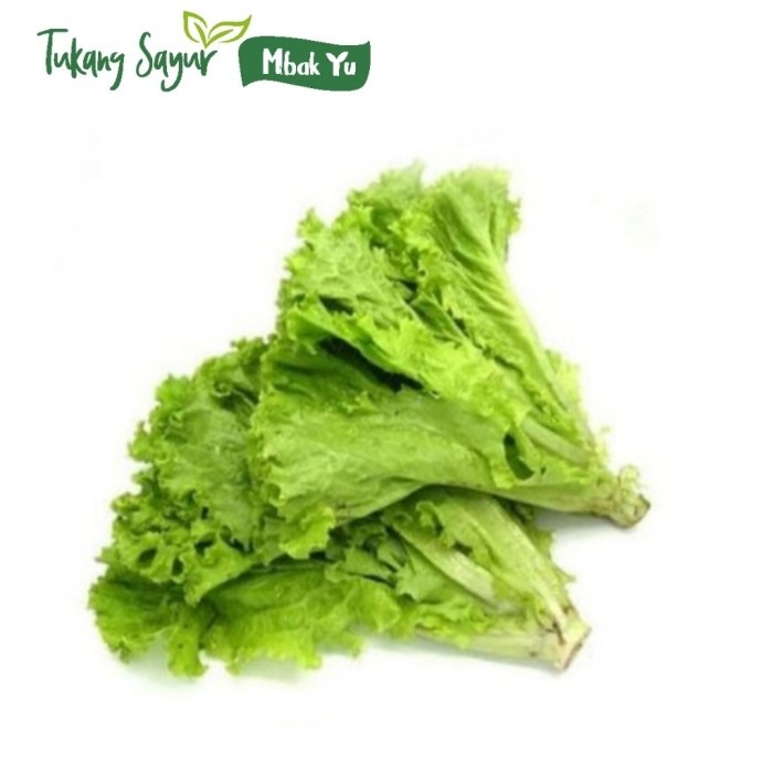 

Selada keriting segar 250gr