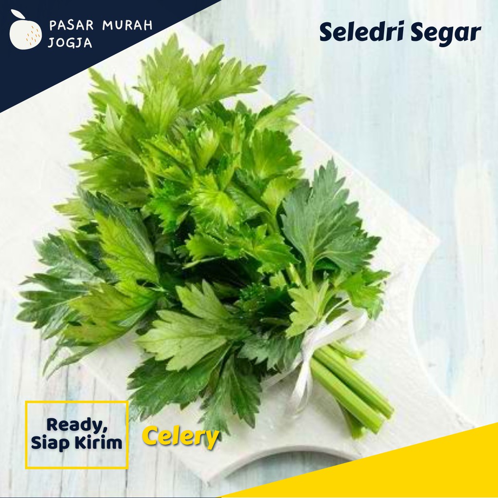 

Daun Seledri Fresh 100gr Sayur Segar Pasar Murah Jogja