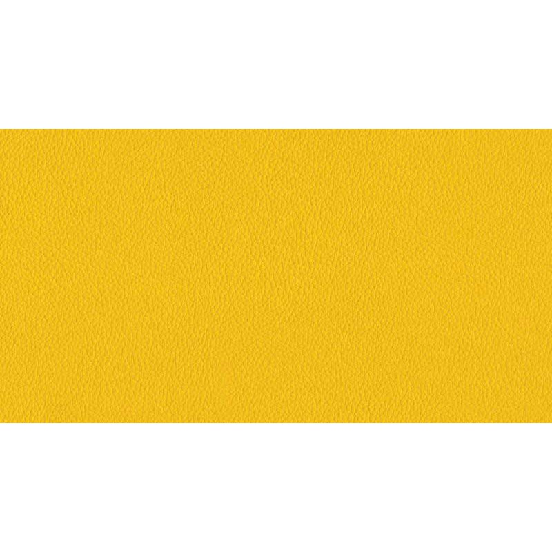 MBTECH CAMARO FIESTA MB7004 Manggo