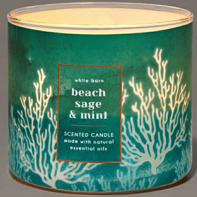 BATH &amp; BODY WORKS BBW BEACH SAGE &amp; MINT 3-WICK SCENTED CANDLE 411 G LILIN WANGI 3 SUMBU UKURAN BESAR PENGHARUM RUANGAN