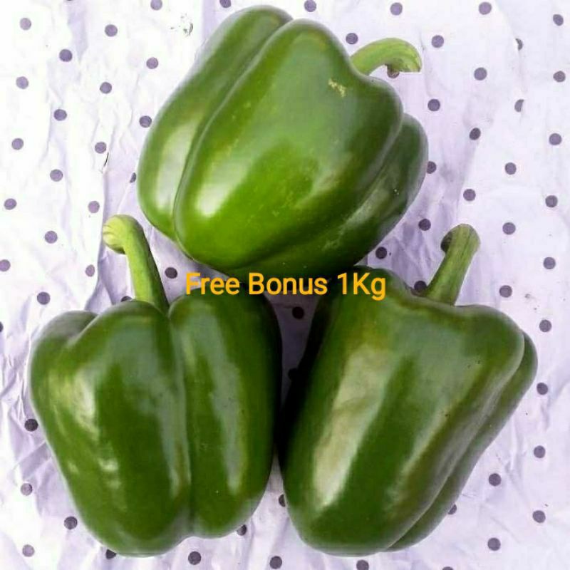 

Paprika Hijau 1 kg - Gratis Bonus