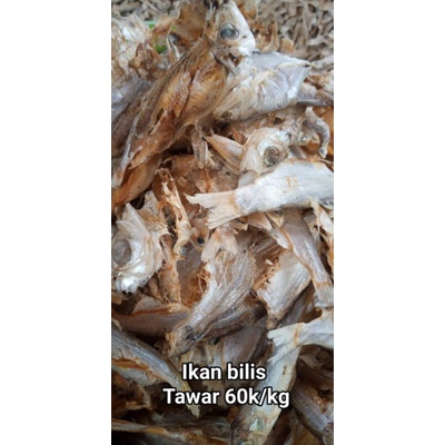 

ikan bilis tawar khas Cirebon