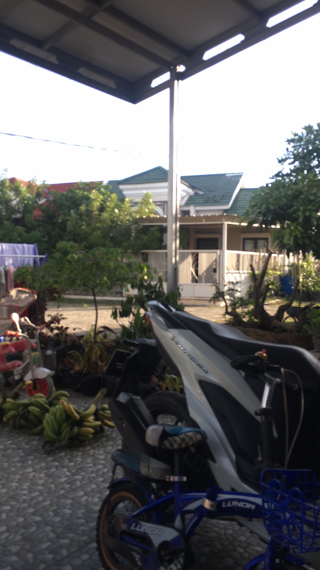 Pupuk Npk Super Premium 25-10-17