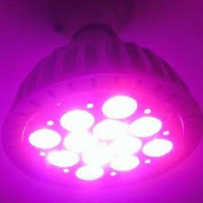 [DSP-9059] HPL LED 3 WATT FULL SPECTRUM GROW HIDROPONIK ( PINK ) AQUASCAPE