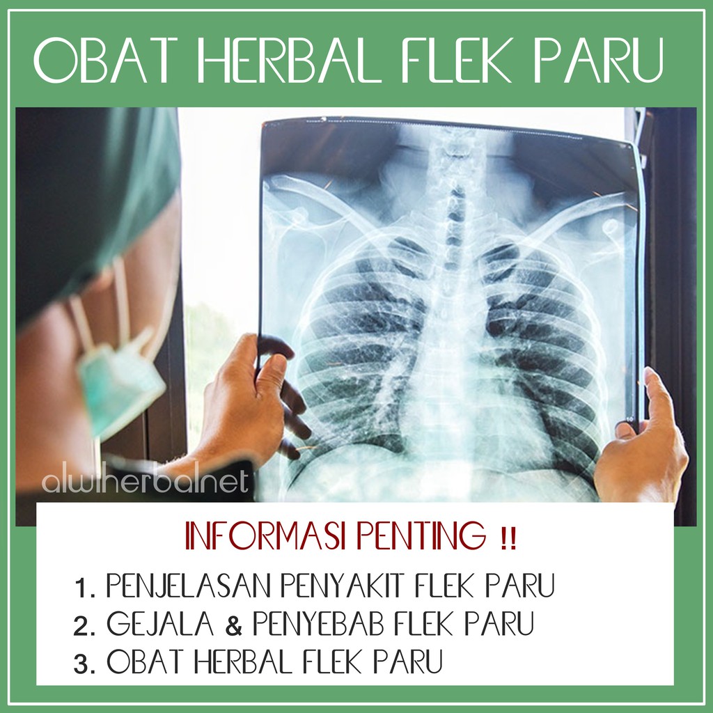 Obat Flek Paru Paru Herbal Alami Untuk Anak Dan Dewasa Obat Penyakit Paru Paru Kronis Obat