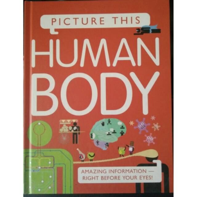Human Body