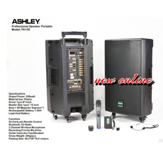 Speaker portabel wireless meeting ASHLEY PA 15E( 15inch)