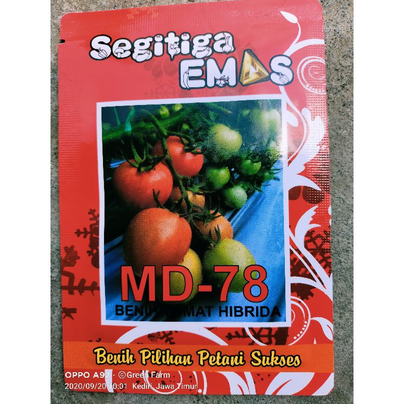 Tomat Md 78 Kemasan 5gr Original Pabrik Segitiga Emas