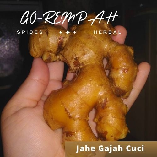 

JAHE GAJAH CUCI /JAHE PUTIH BERSIH /JAHE SAYUR CUCI BERSIH 1Kg