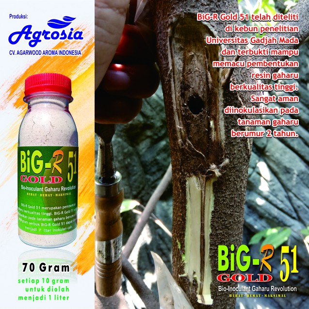 BiG-R Gold 70 gram - Inokulan Pembentuk Gubal Gaharu Super