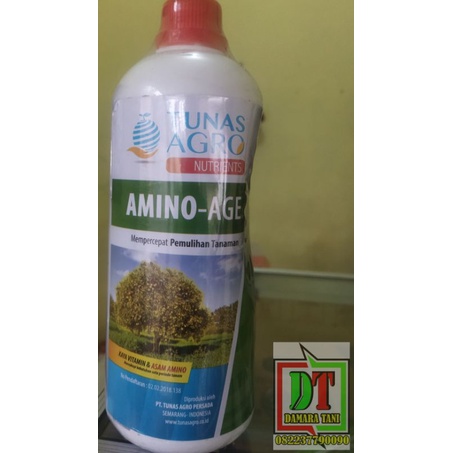 Asam Amino AMINO AGE