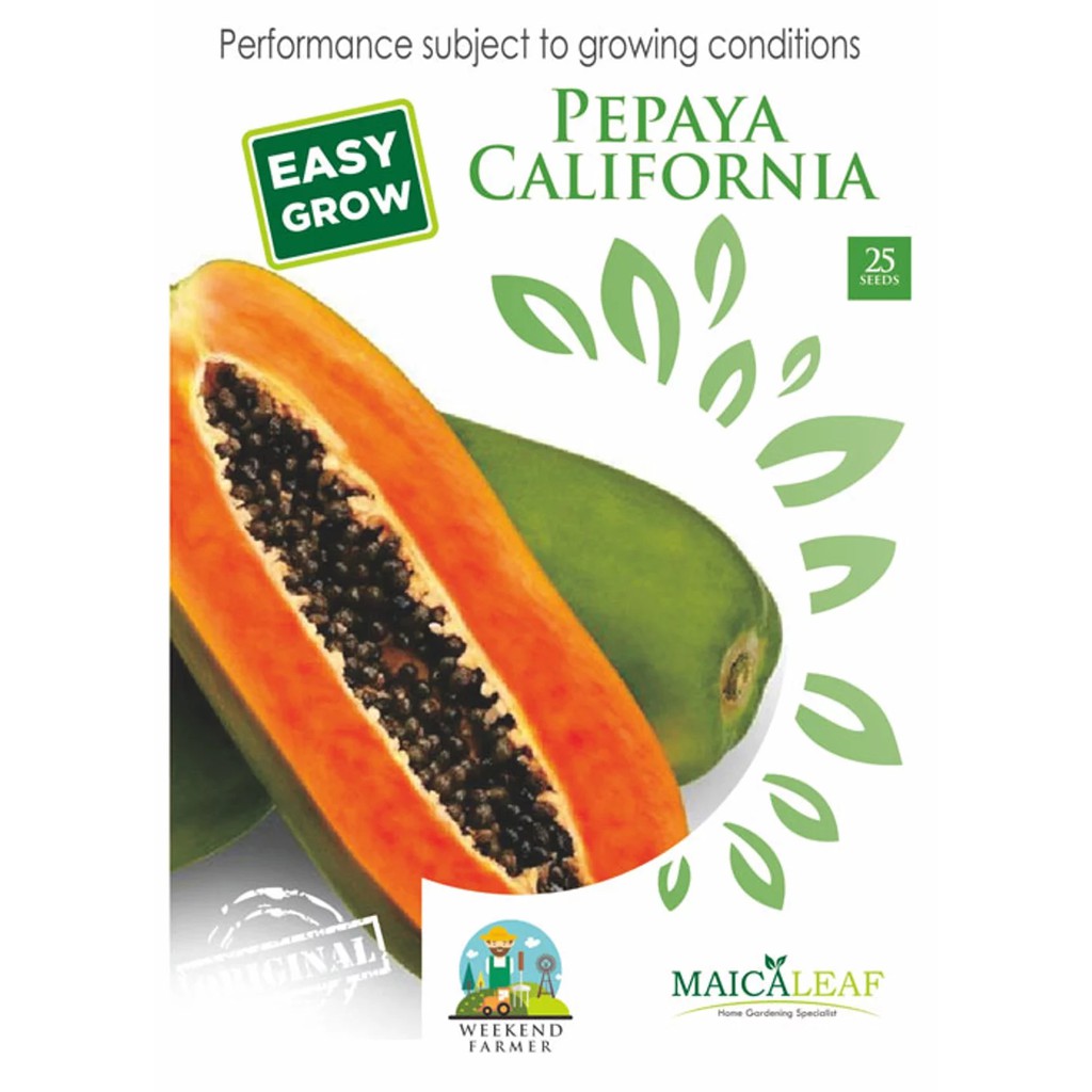 Benih Pepaya California Asli/Bibit Buah Pepaya Californis isi 25 Benih