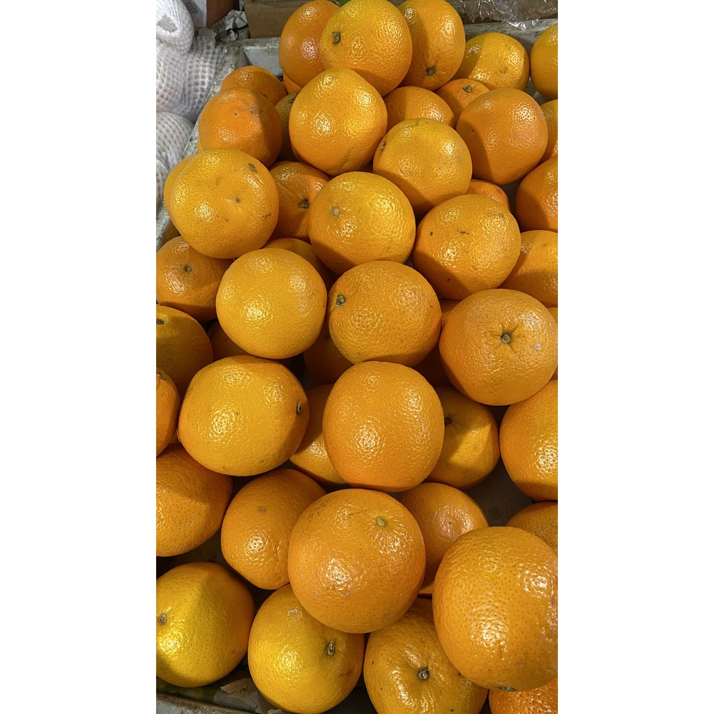 

Jeruk sunkist import - 500 gram
