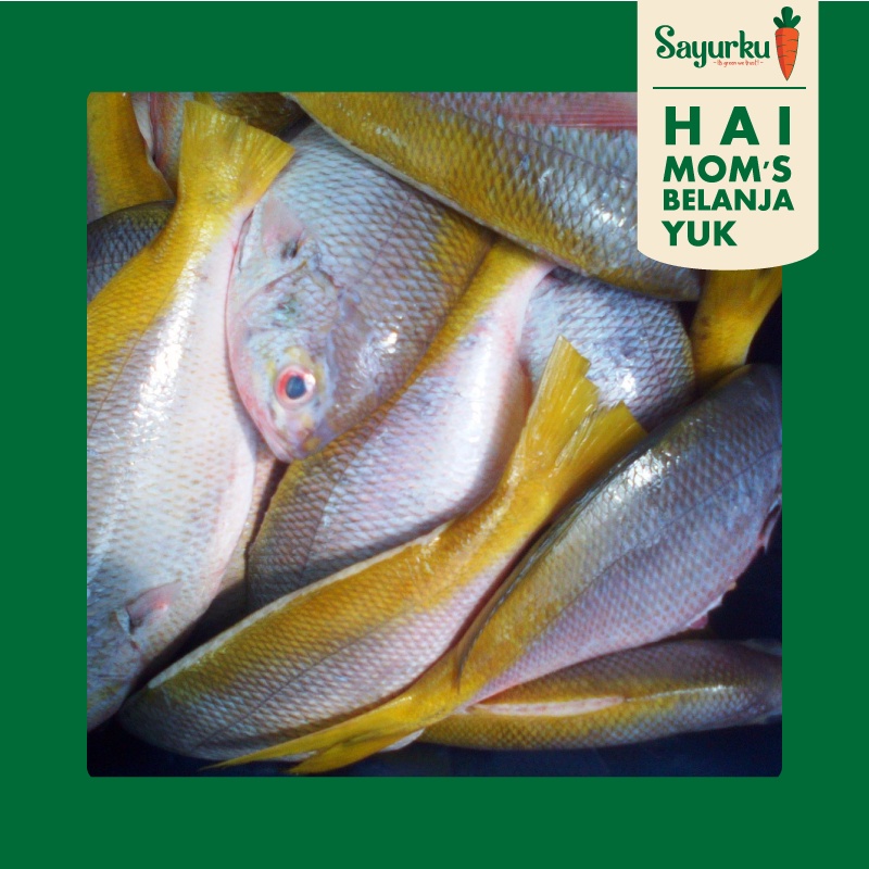 

Ikan Ekor Kuning 500gr