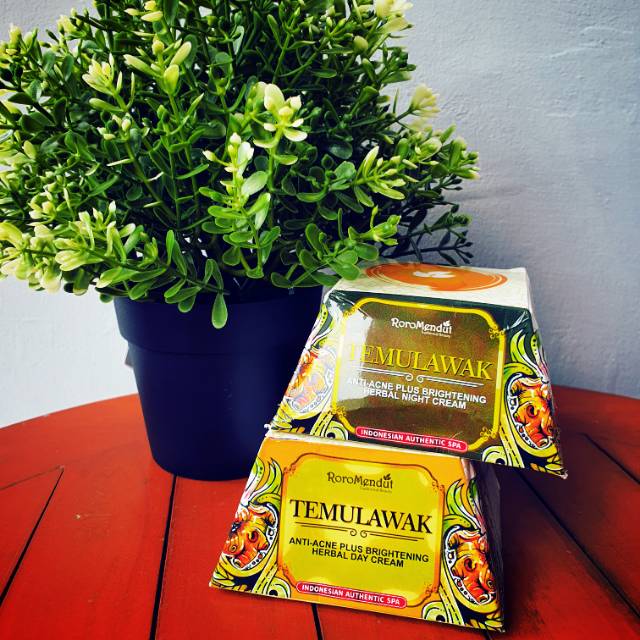 RORO MENDUT - HERBAL - NIGHT CREAM TEMULAWAK