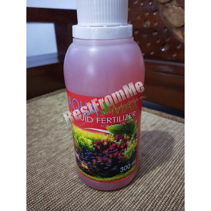 

JDL RED EVILS evil 100 gran gr merah ikan louhan