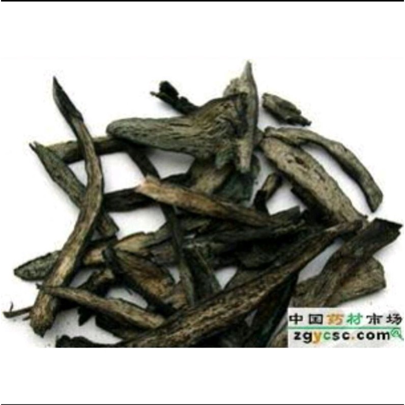 

300 G GR GRAM LU LV SHENG MA 绿升麻 GREEN LARGE TRIFOLIOLIOUS BUGBANE RHIZOME