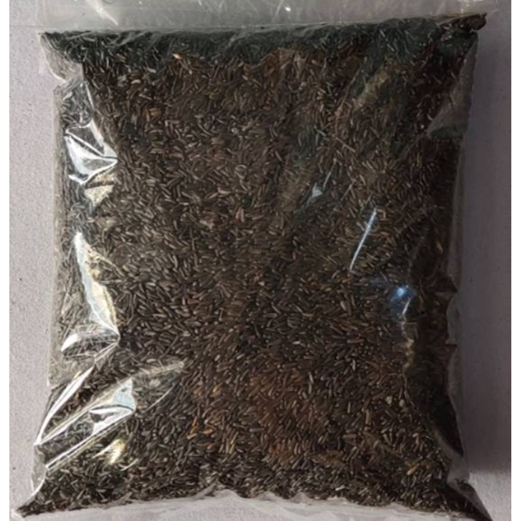 Niger seed 500gram biji niger pakan kenari finch dll