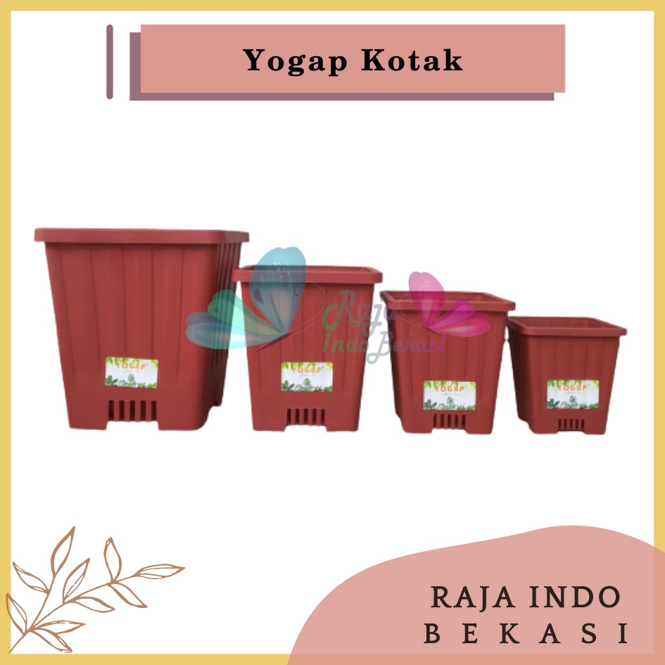 Pot Yogap Kotak 8 10 12 15 Putih Transparan Bening Merah Bata Coklat Terraccota Terakota Orange Pot Segi Empat Hias Pot Yogap 10 13 15 17 18 19 25 30 Pot Yogap Lusinan Pot Kotak Panjang Kecil 8 Cm Tinggi