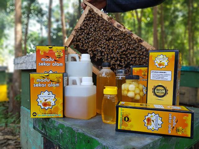 PROMO 1 Kg Madu Murni Asli Peras Melifera ( Raw Honey ) free dus box dan Sendok | Sari Sekar halal MUI