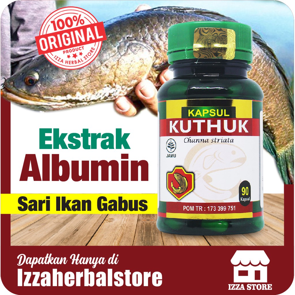 KAPSUL KUTUK PREMIUM ORIGINAL Ekstrak Albumin Sari Ikan Gabus BPOM MUI KUTHUK Asli COD  100% ORI&quot;